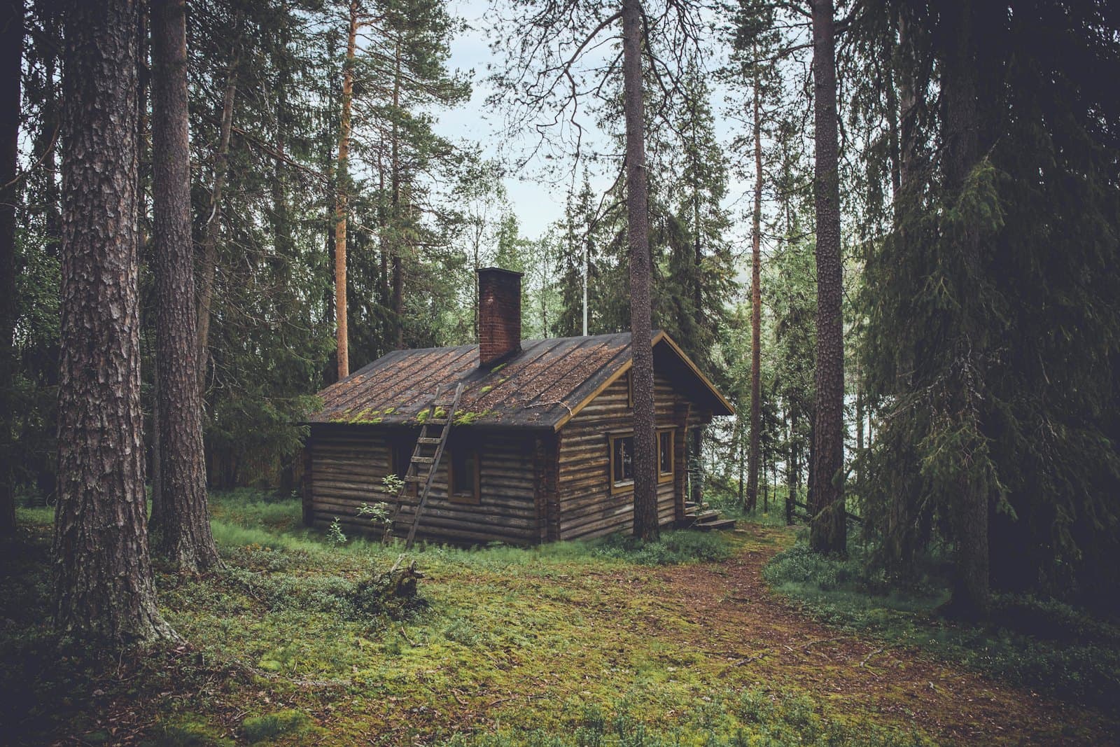 Trout & Timber